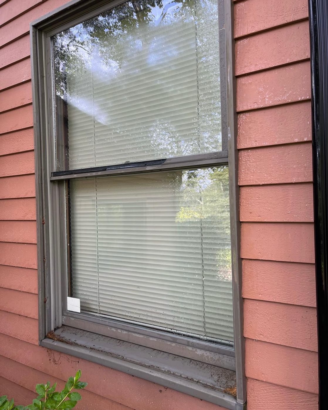 Window before cleaning